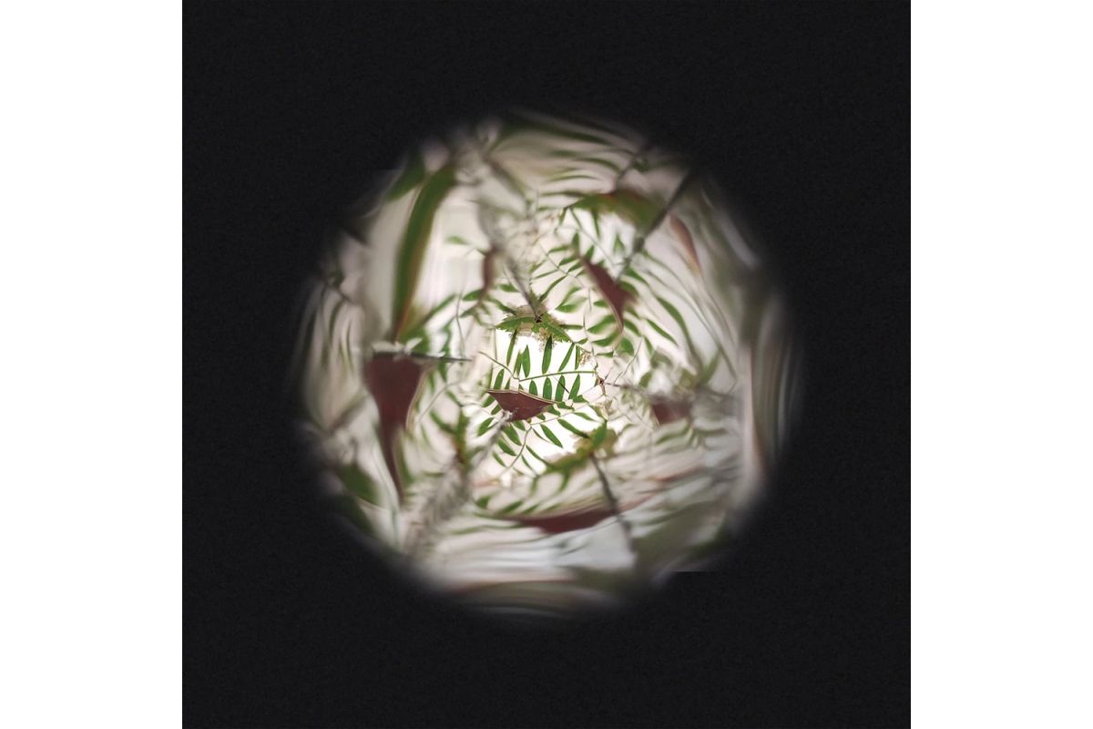 janod-j06310-flower-kaleidoscope6