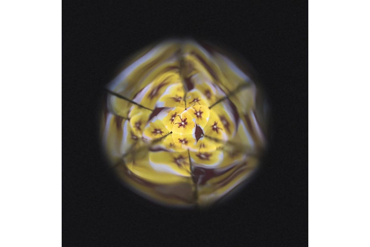 janod-j06310-flower-kaleidoscope7